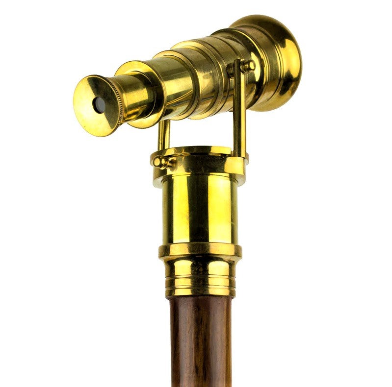 Telescope Walking Stick